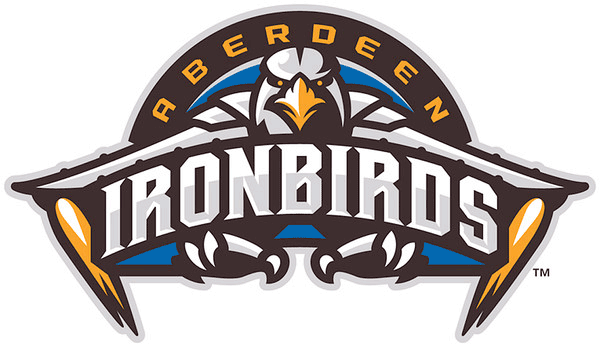 Aberdeen IronBirds 2013-Pres Primary Logo iron on paper